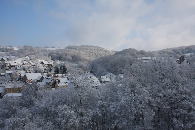 Winter 14.02.2009 004.jpg